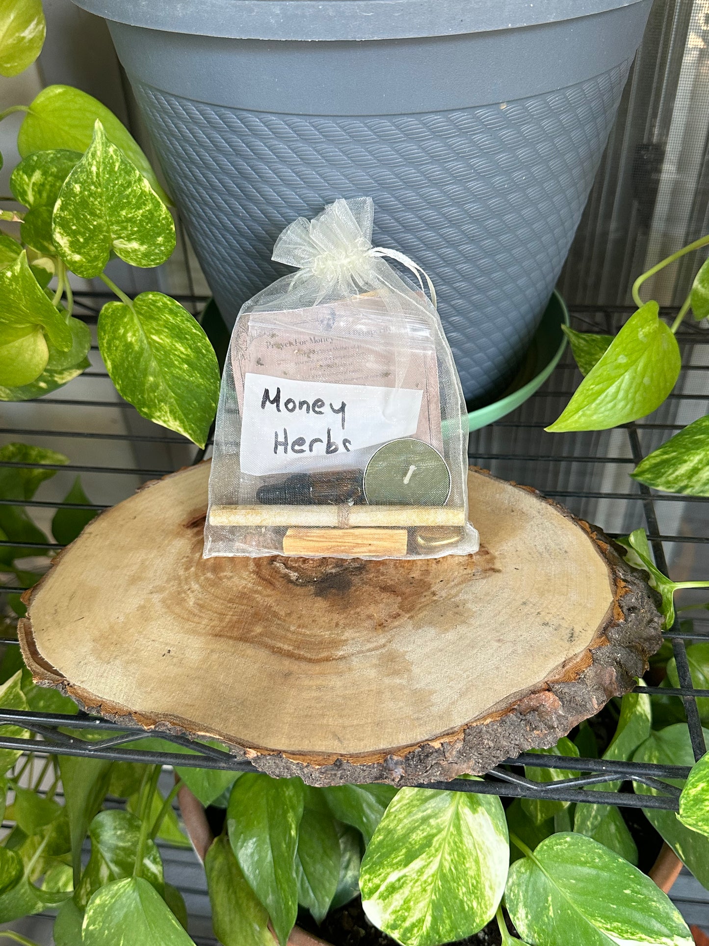 Fast Money Mini Ritual Kit